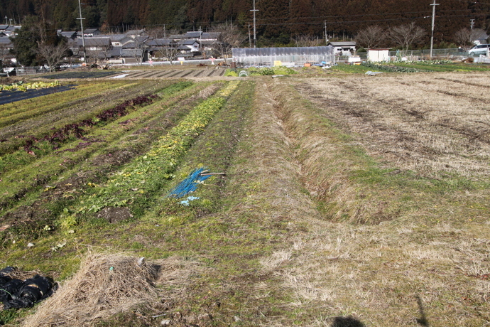 京都市左京区貸農園　　コクーン農園（静市）始まります