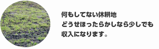 農業やろうぜ！