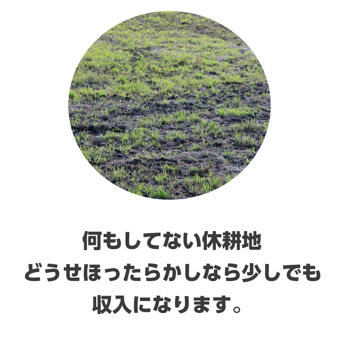 農業やろうぜ！