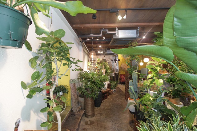 京都の京都らしい物件 リノベーション おしゃれな物件探し Contemporary Cocoon Room702 京都の京都らしい物件 リノベーション おしゃれな物件探し Contemporary Cocoon Room702
