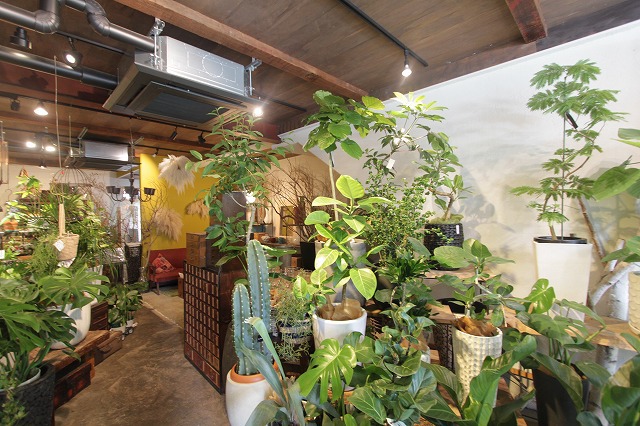 京都の京都らしい物件 リノベーション おしゃれな物件探し Contemporary Cocoon Room702 京都の京都らしい物件 リノベーション おしゃれな物件探し Contemporary Cocoon Room702